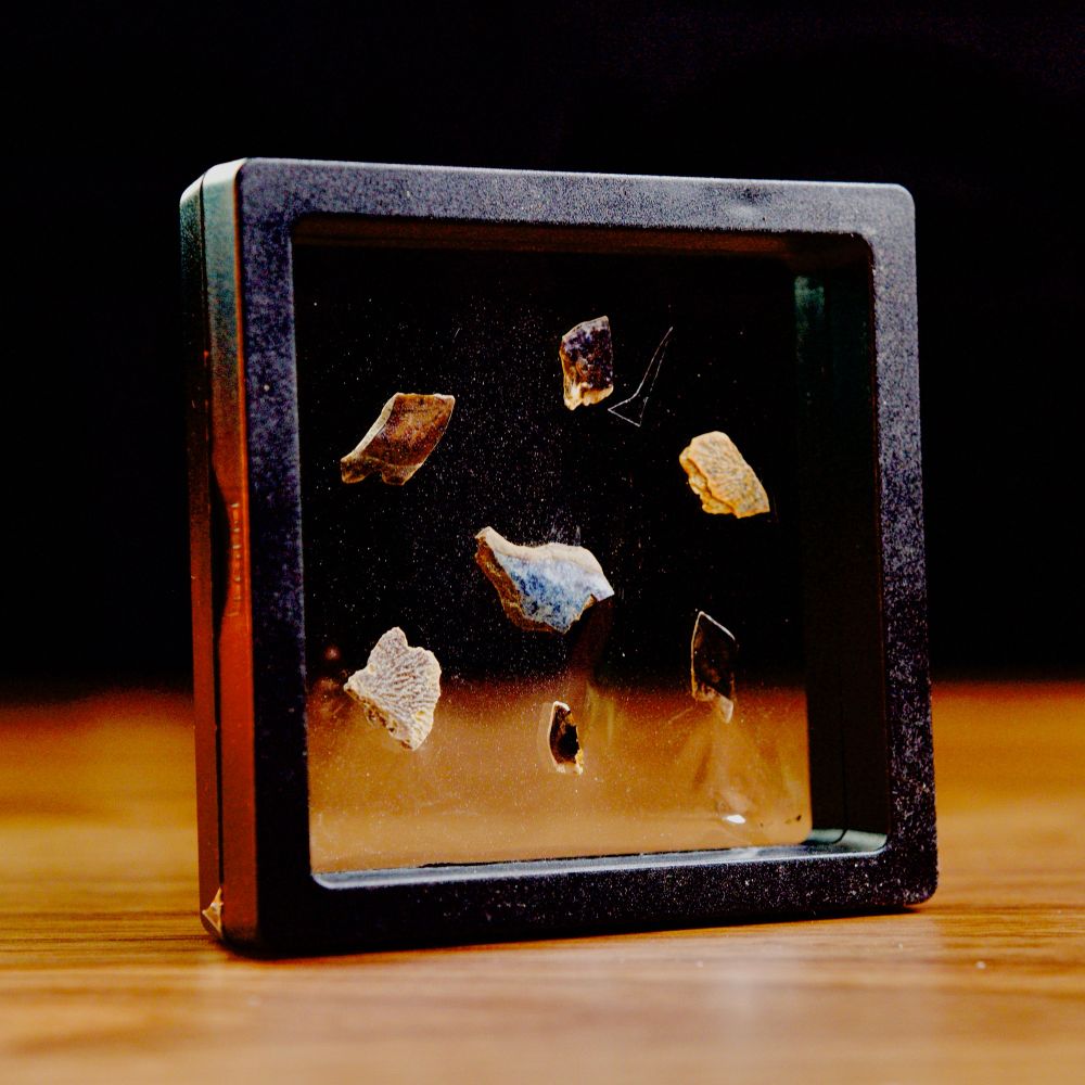Cretaceous gar scales in a floating frame