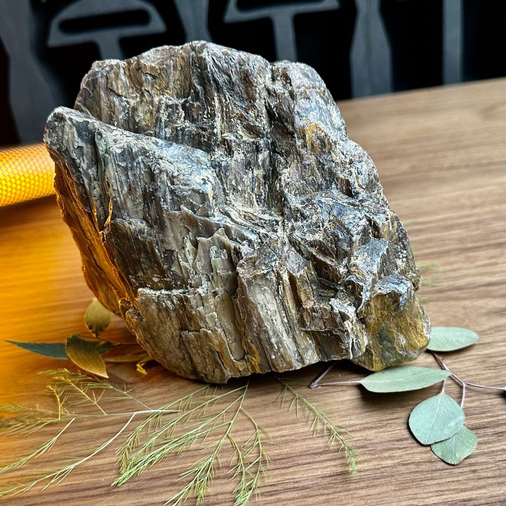 A chunk of Cretaceous petrified wood