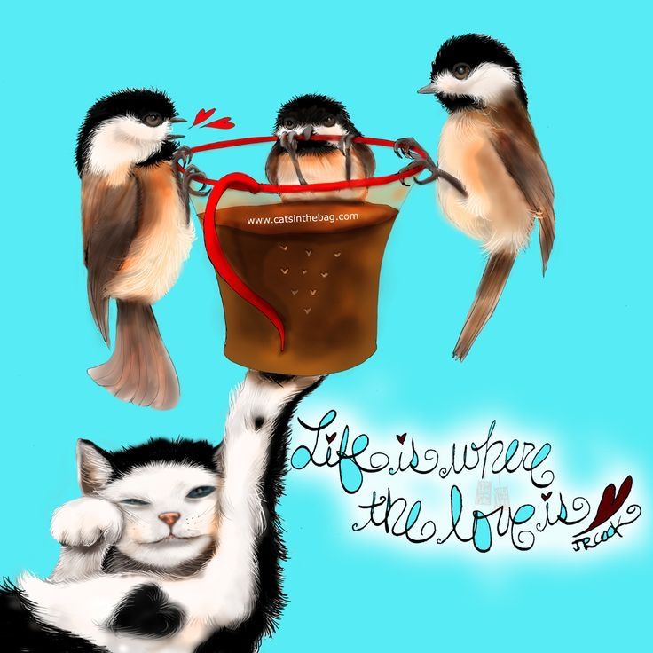 Comment image