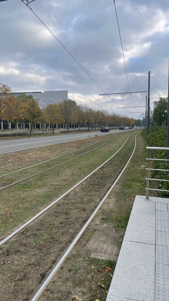 Photo of suburban Vitoria with two tram tracks running through a grassed area next to a main road. Out of shot on the right is the pedestrian footpath and cycle lane.