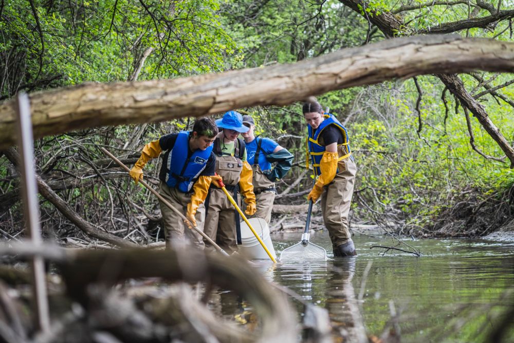 A group of students collecting samples for environmental analysis in a stream.
