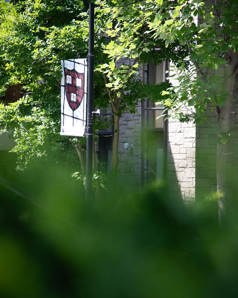 Harvard Banner surrounded by HDS campus greenery