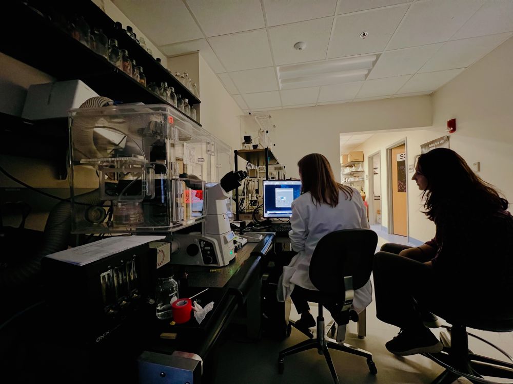 Director Dr. Christina Baer assists a user on a Nikon widefield microscope. 