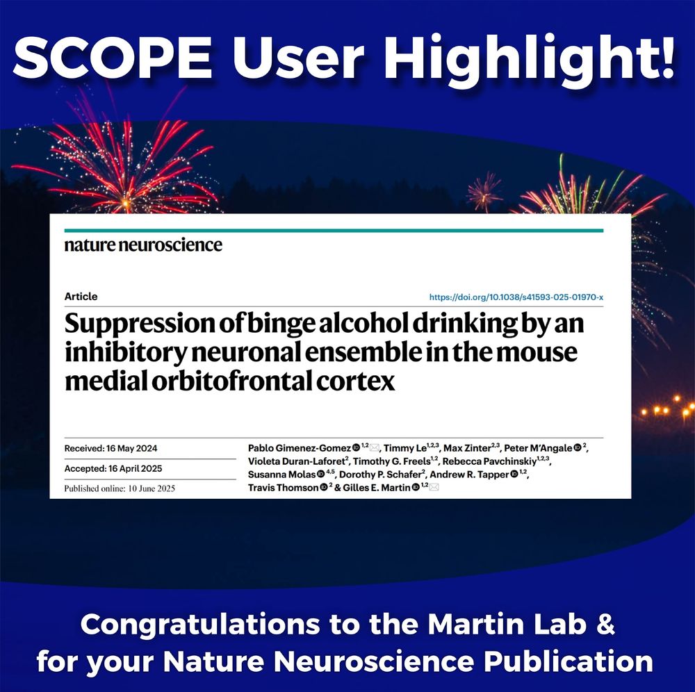 Screenshot of the title and authors from the title page of the recent publication of "Suppression of binge alcohol drinking by an inhibitory neuronal ensemble in the mouse medial orbitofrontal cortex" in Nature Neuroscience. Lead author is Dr. Pablo Gimenez-Gomez and the corresponding author is Dr. Gilles E. Martin. 
Banner across the top reads " SCOPE User Highlight" and bottom banner reads: "Congratulations to the Martin Lab for your Nature Neuroscience Publication