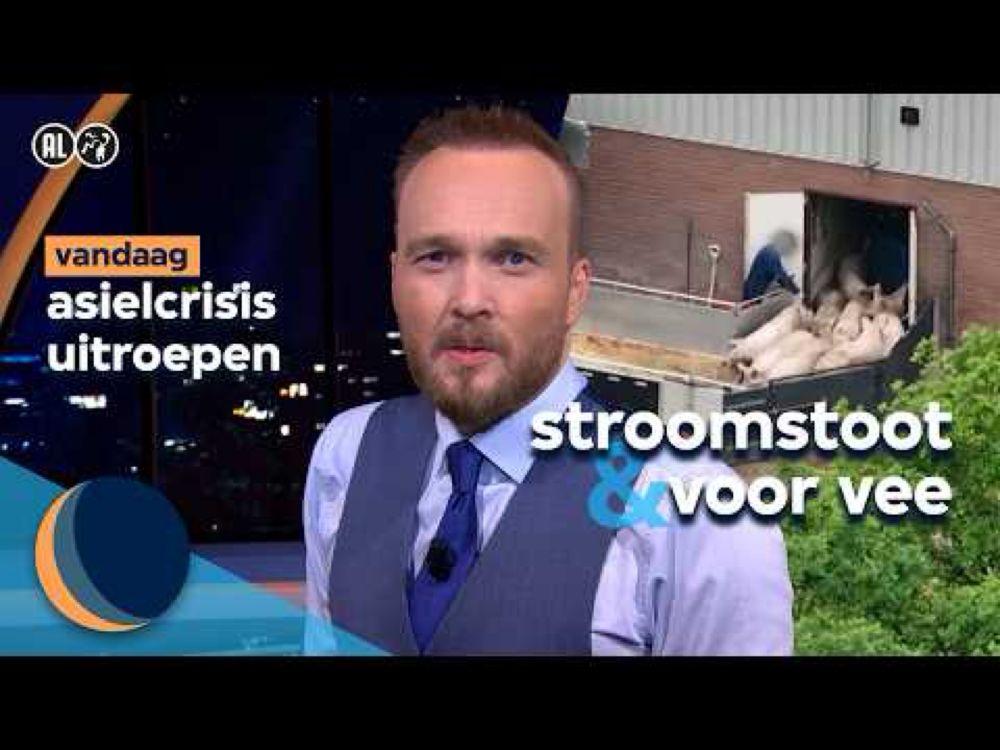 Stroomstootwapens op dieren | De Avondshow met Arjen Lubach (S6)