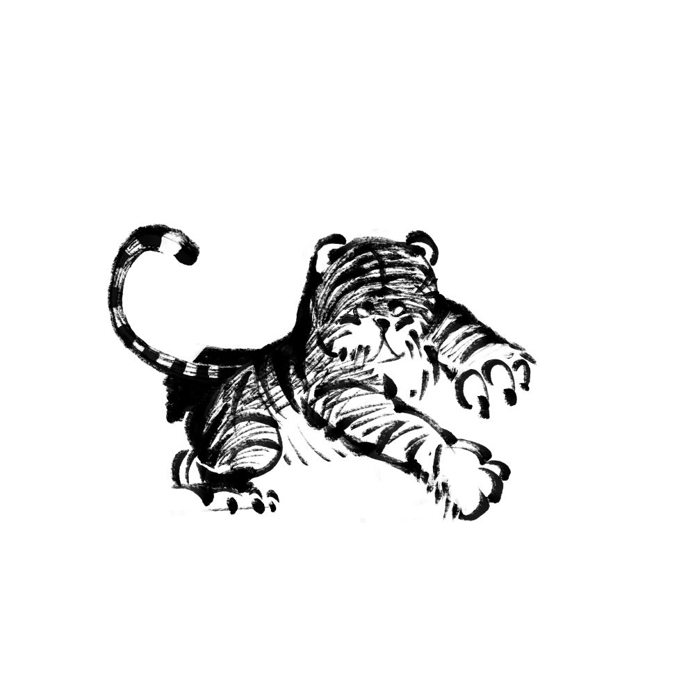 A tiger in a chasing pose