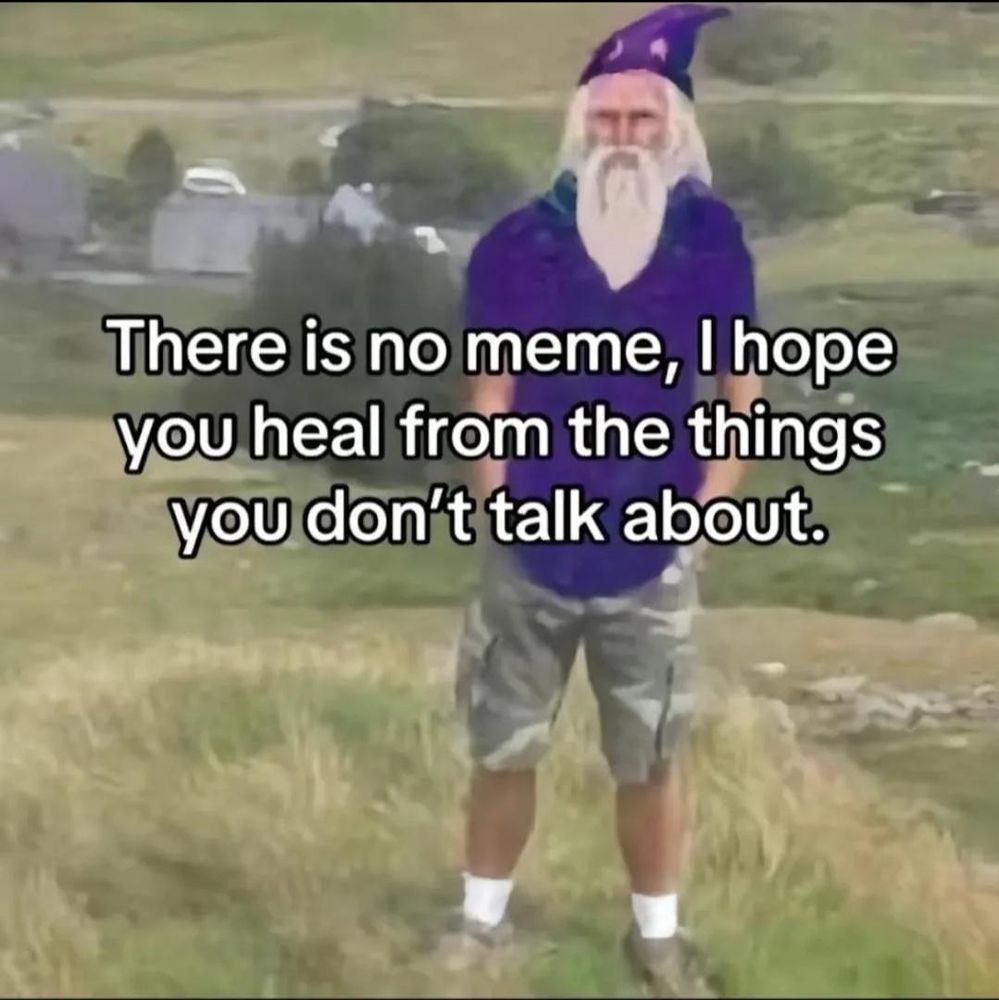 A wizard stands in a field with the text "There is no meme, I hope you heal from the things your don't talk about"