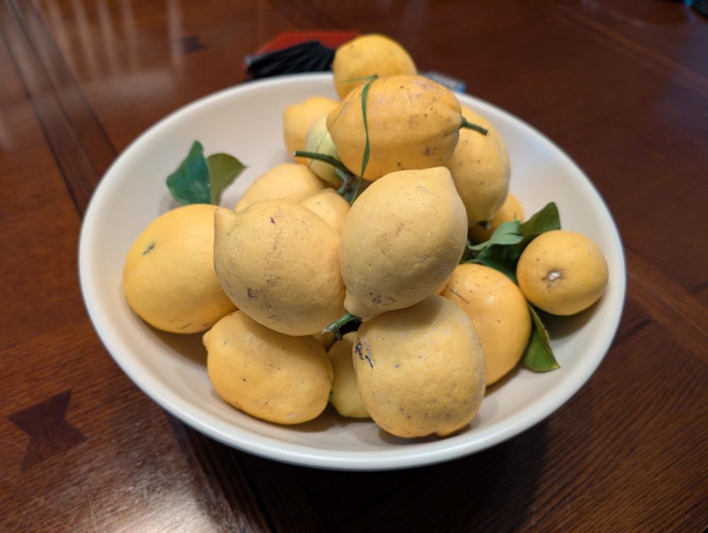 A bunch of lemons in a bowl