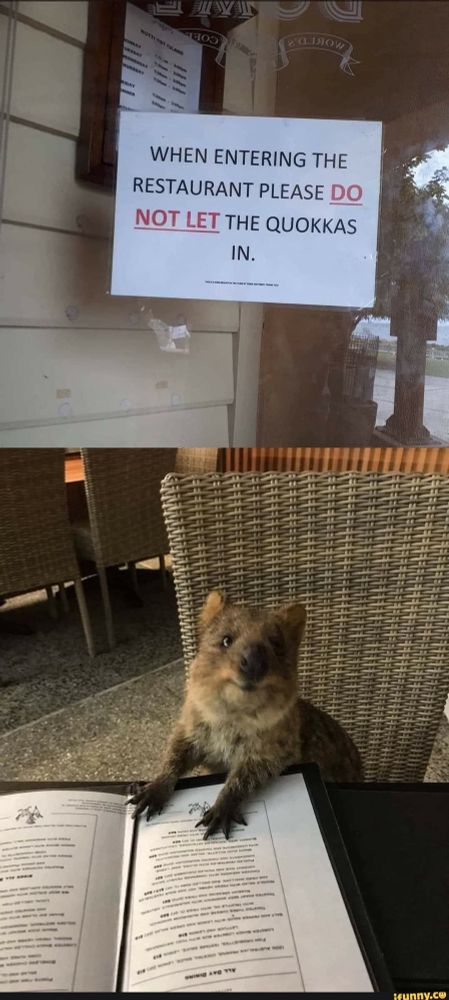 A sign outside a restaurant reads “WHEN ENTERING THE RESTAURANT PLEASE DO NOT LET THE QUOKKAS IN”, juxtaposed with a picture of a smiling quokka with its paws on a menu.