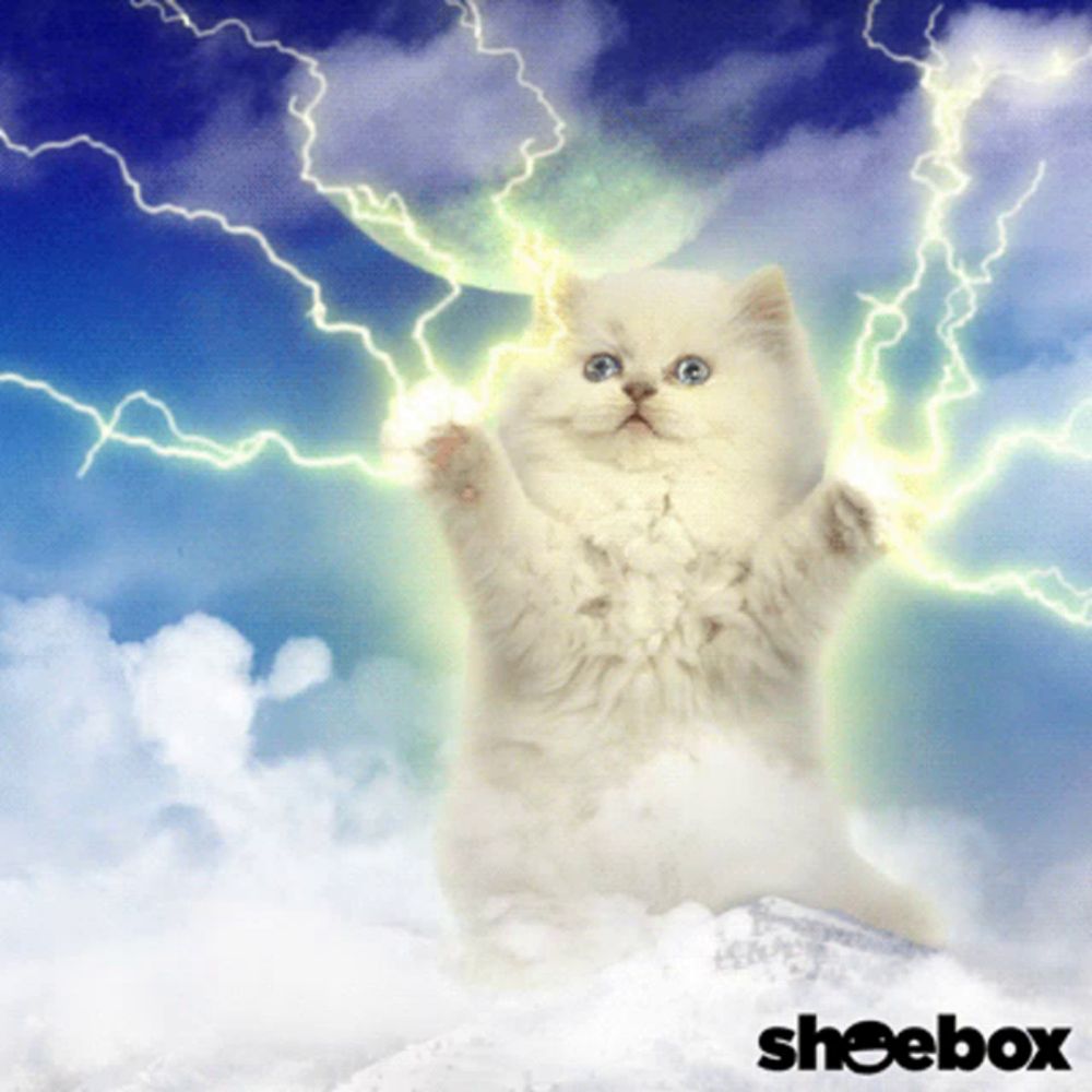 a picture of a cat with lightning behind it and the word sheebox on the bottom