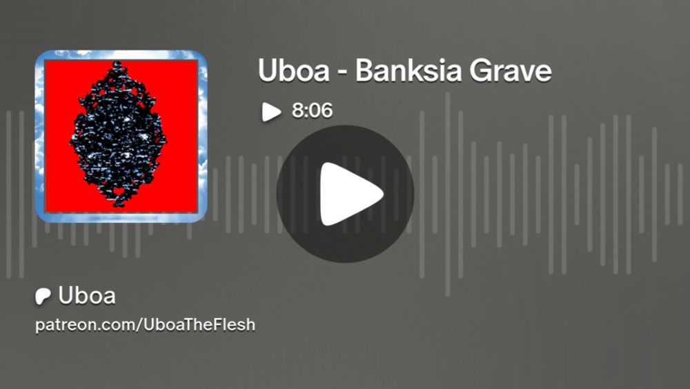 Uboa - Banksia Grave | Uboa