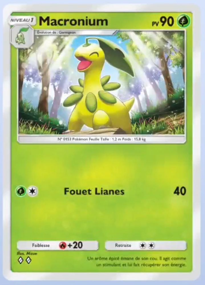 une carte pokémon de macronium (mdr)