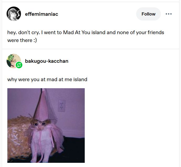 A screenshot of a tumblr exchange that reads as follows:

effemimaniac
hey. don't cry. I went to Mad At You island and none of your friends were there :)

bakugou-kacchan
why were you at mad at me island 
[picture of a little cat with sad wet eyes dressed in a pink cape and princess hat]