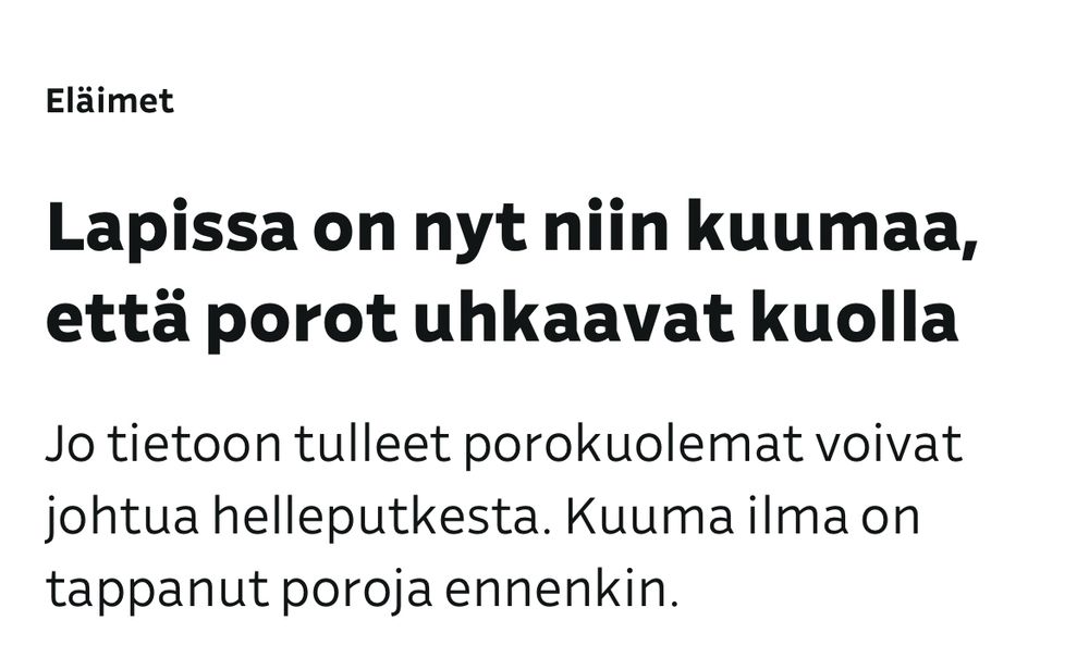 Ylen otsikko: ”Lapissa on nyt niin kuumaa, että porot uhkaavat kuolla”