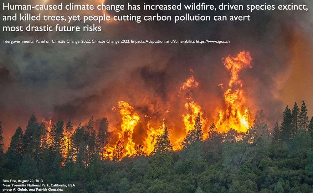 Rim Fire, August 20, 2013, near Yosemite National Park, California, USA, photo by Al Golub