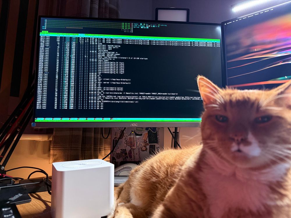A monitor showing the htop cpu monitor tool for a busy 4-CPU system. The computer itself is a small white cube on the desk in front of the monitor. A ginger cat is sitting next to the cube, eying up the camera