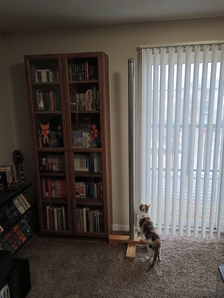 A pole, affixed to wood, is sitting on the floor between a bookshelf and a sliding door.  A calico cat is very curious about the pole. 