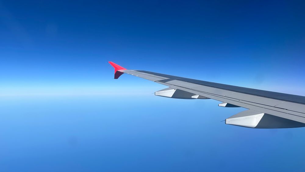 Fly away …