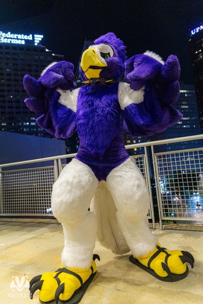 Sentri (an eagle, a purple and white fursuiter) is standing in front of a railing, flexing his wing-arms. He is wearing a black and gold spiked collar. The photo is from a low angle and a nighttime cityscape can be seen in the background.