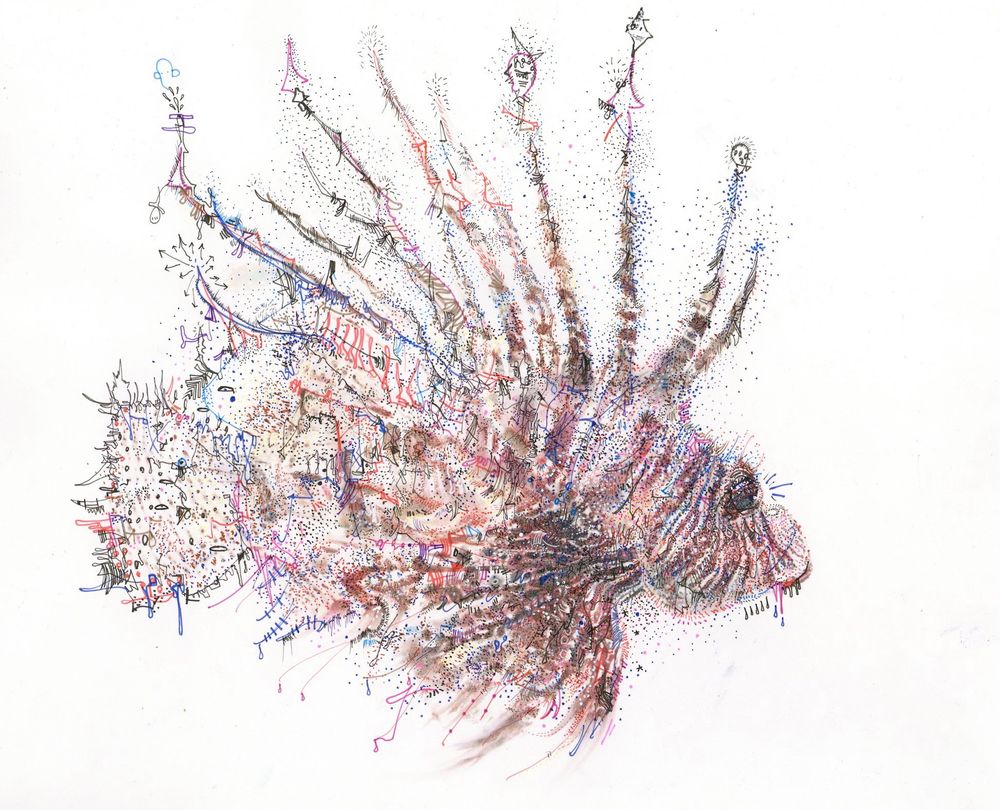 What's the name of this fish do you like to draw? Have you ever drawn before? Do you draw off? Do you draw upside down? Do you draw with those clothes? Let me know.