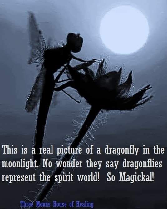 Comment image