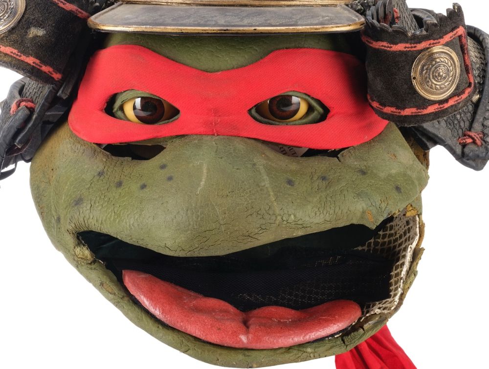 Extreme closeup of the head 