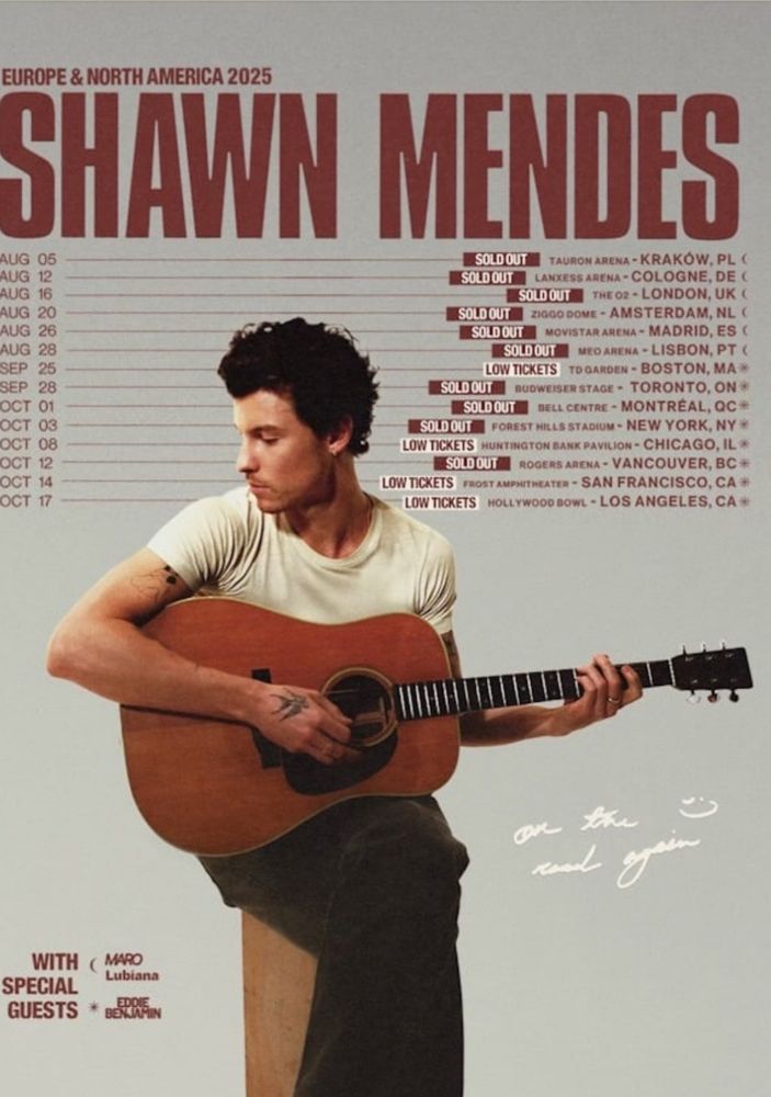 Shawn Mendes Poster for Concert