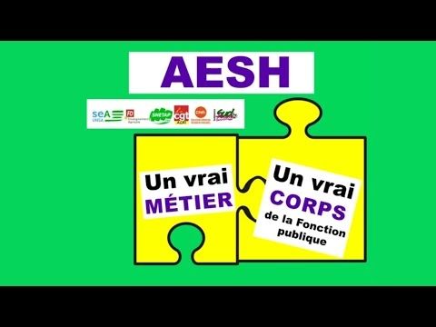 Pour les AESH, il faut un statut de fonctionnaire