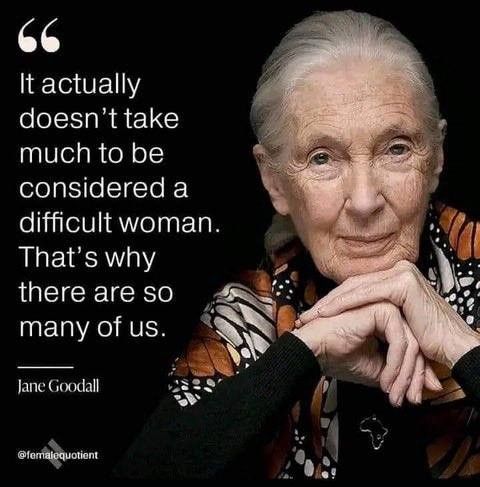 Photo of Jane Goodall with a quote from her: “It actually doesn't take much to be considered a difficult woman. That's why there are so many of us.” Jane Goodall @femalequotient