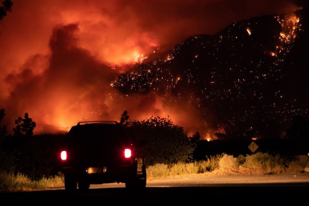 A cat watches the Lytton fire