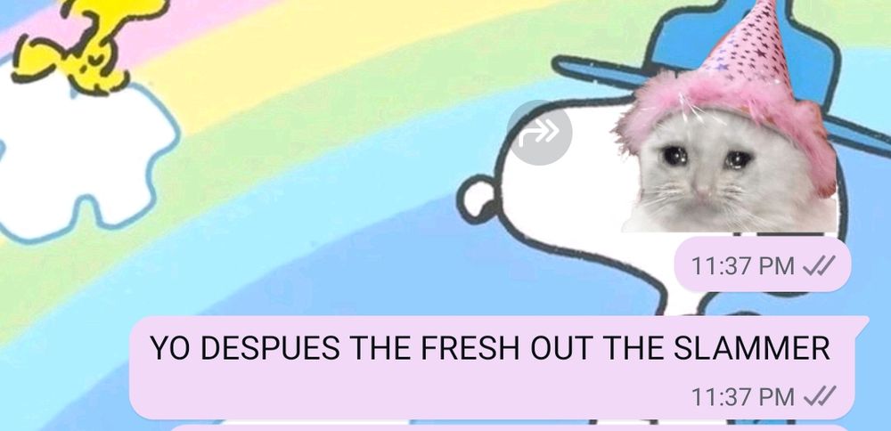 screenshot of a text message on a pink message bubble. a sticker of a cat tearing up with a pink party hat followed by: me after fresh out the slammer 