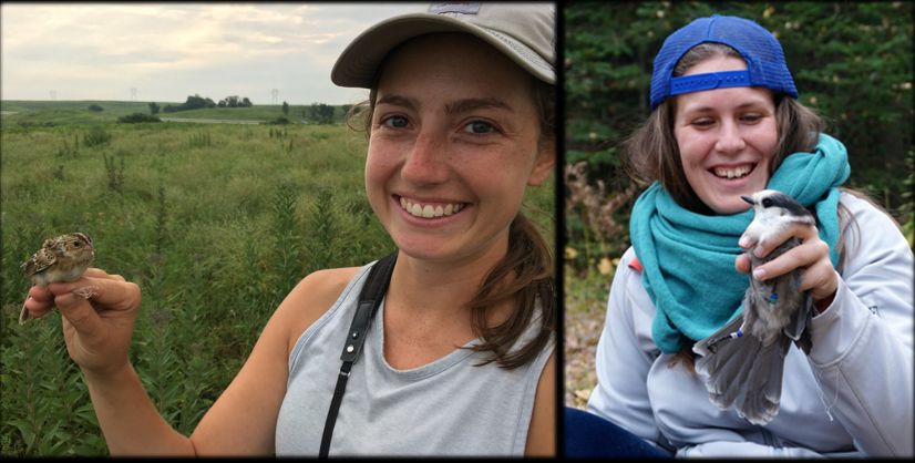 Katy Silber (L) in prairie habitat holding a Grasshopper Sparrow; Koley Freeman, (R) in forested environment holding a Canada Jay. Both smiling!