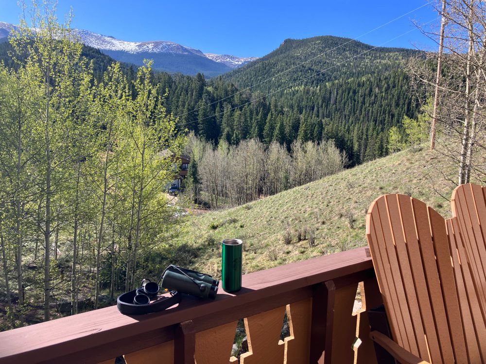 Sunny early morning view from a desk in the Colorado Rockies, snowy mountains in the distance, aspen leaves just emerging, binoculars and coffee mug on railing. 