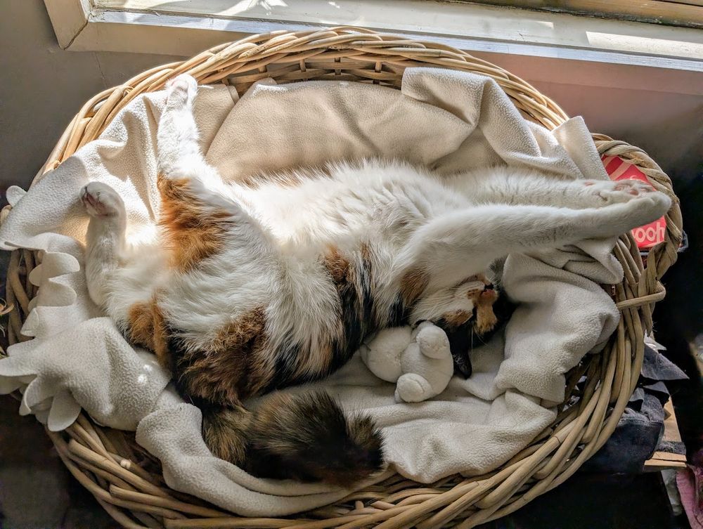 A calico cat asleep in a wicker basket, but she is half upside with bag legs sticking up in the air and front paws stretched out.