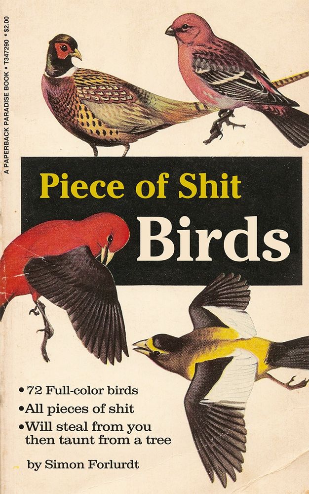 Vintage book cover for a book on bird identification featuring four illustrations of various birds. Title and copy read 

Piece of Shit
Birds
•72 Full-color birds
•All pieces of shit
•Will steal from you then taunt from a tree
by Simon Forlurdt