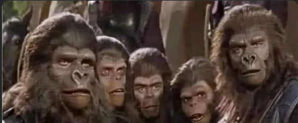 Still frame from one of the Planet of the Apes movies with five apes staring forward in disbelief.