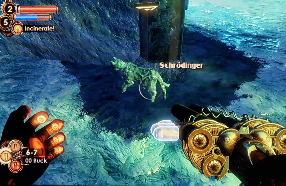A picture of Schrödinger, a frozen cat that appears in Imago Fine Arts in the Dionysus Park level of BioShock 2.