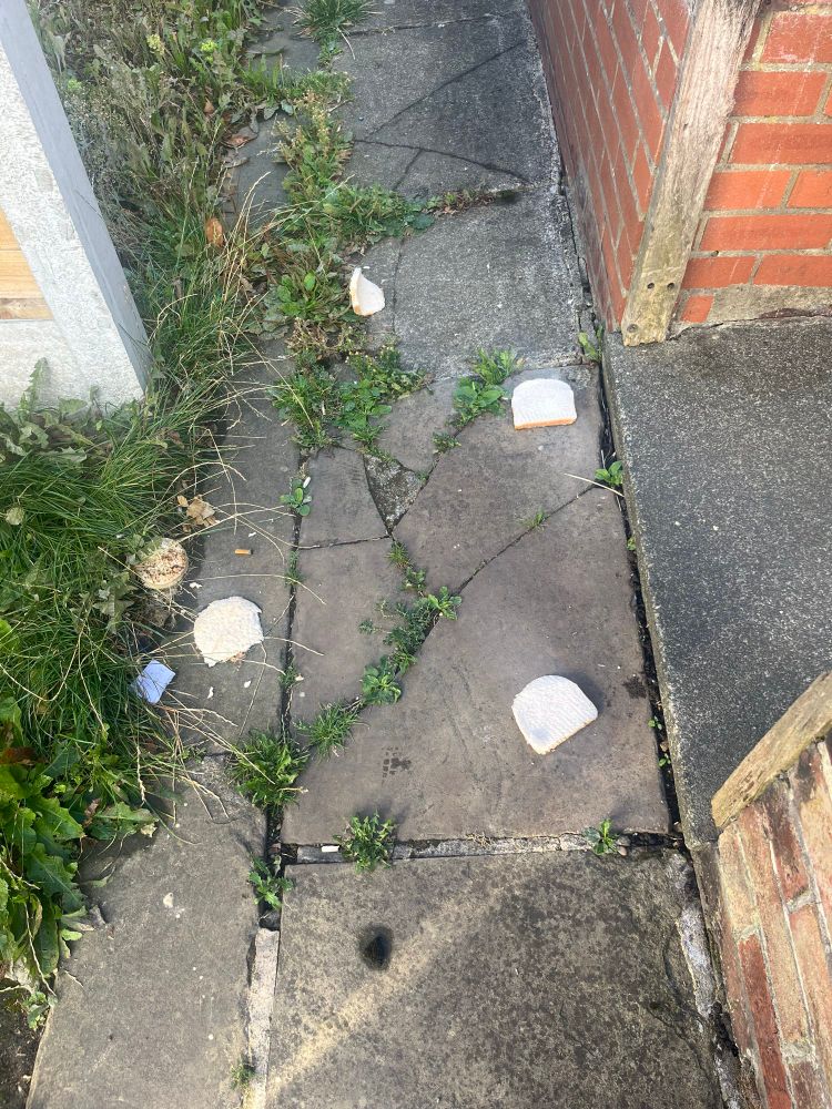 four slices of bread and a whole untoasted crumpet scattered about the pavement 