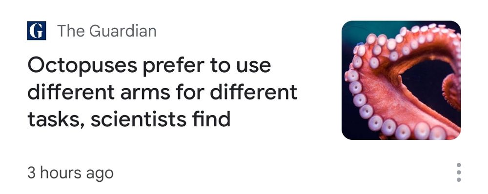 The Guardian headline:

Octopuses prefer to use different arms for different tasks, scientists find