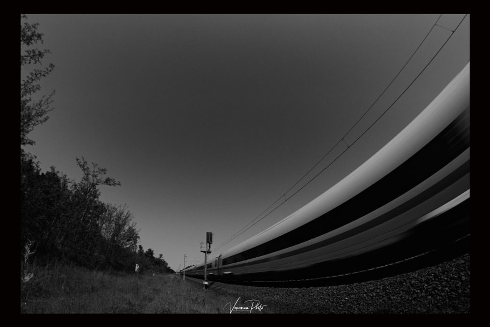 Schwarzweißbild, Bahngleise neben einem Wald, vorbeifahrender Zug