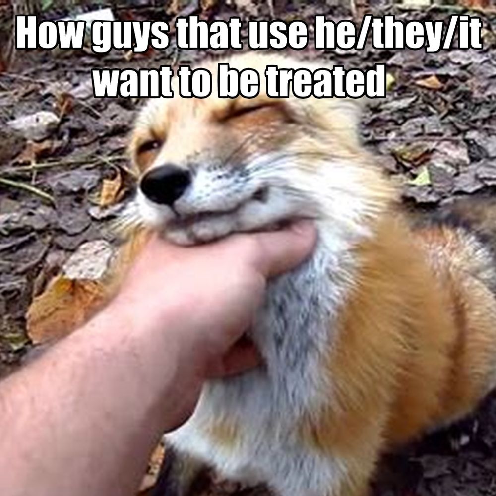 A fox being pet under their chin, looking blissful, with top text reading "How guys that use he/they/it want to be treated"