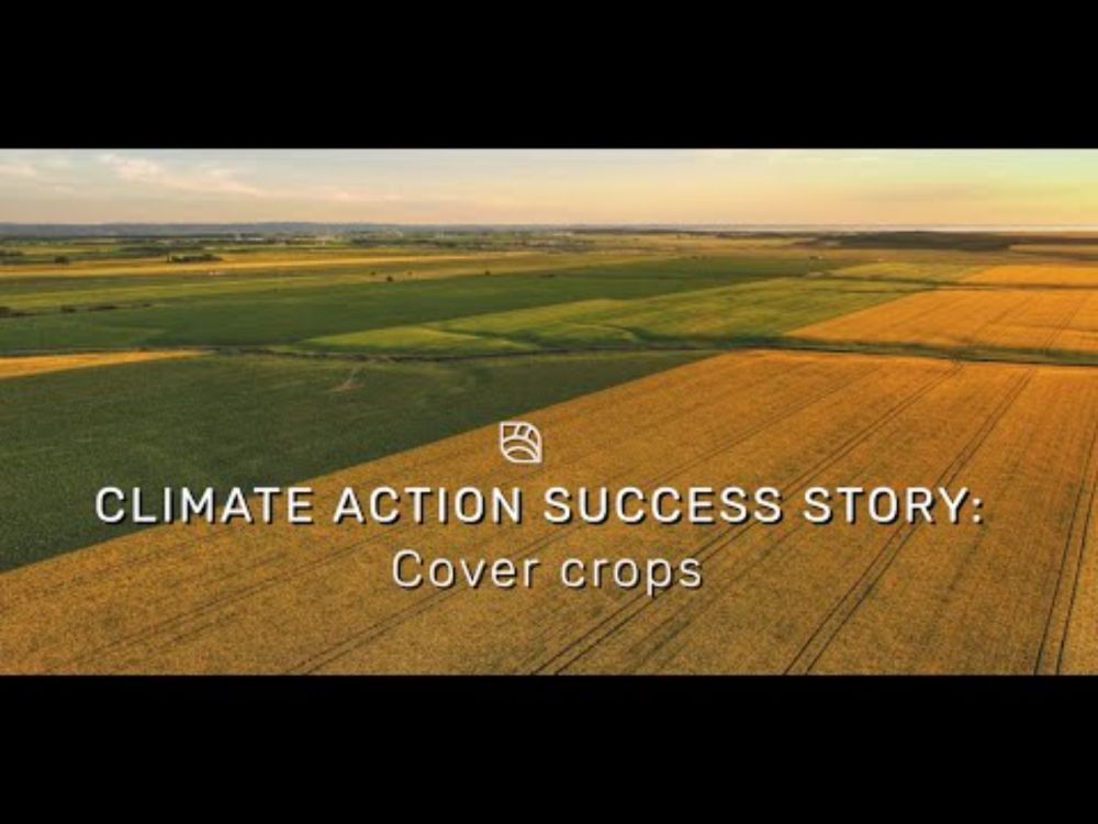 OFCAF Cover Crops
