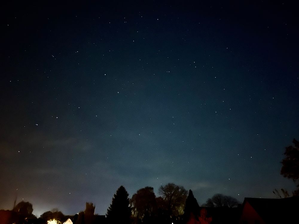 Sterne am Nachthimmel über Baumwipfeln.