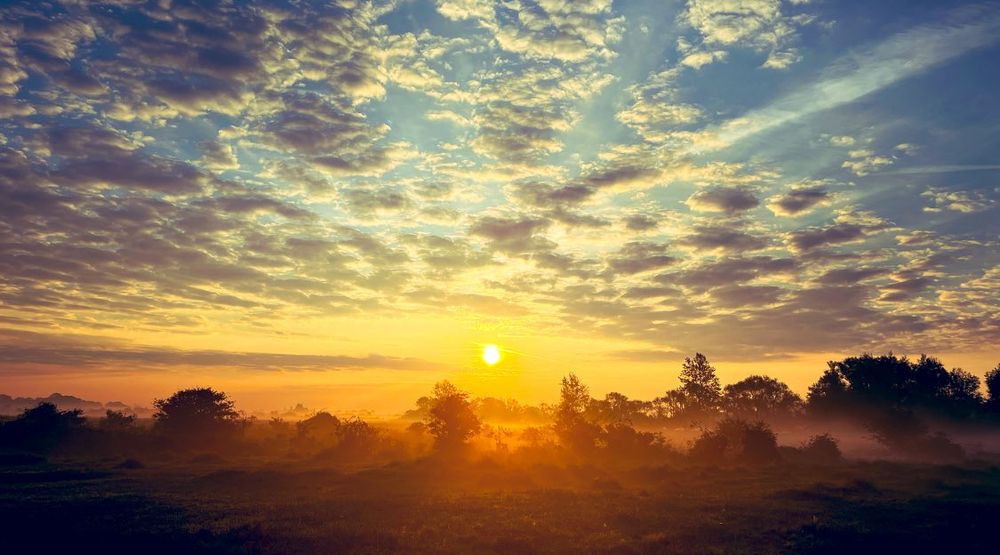 Sonnenaufgang über einem nebeligen Feld. 
