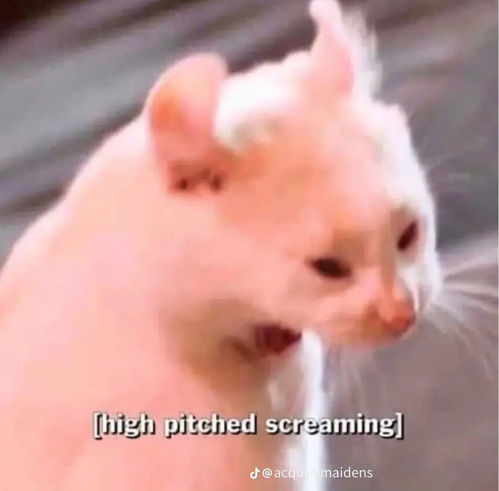 A blurry image of a white cat possible about to throw up, however it looks like he is screaming into the void, his soul is in turmoil, he is destined for the pain and fury of the inferno. The caption reads [high pitched screaming]
