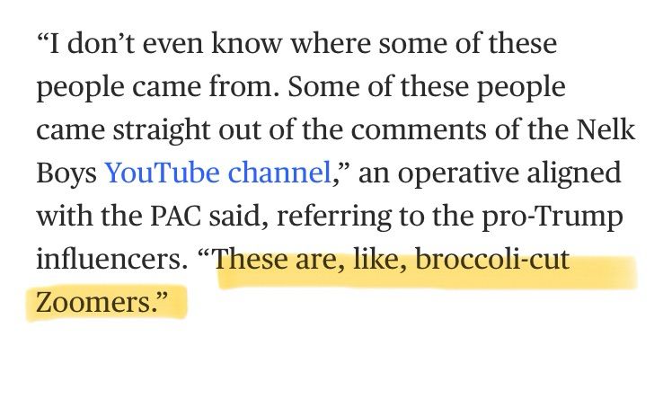 Quote from article calling Trump door knockers “brocolli-cut Zoomers”