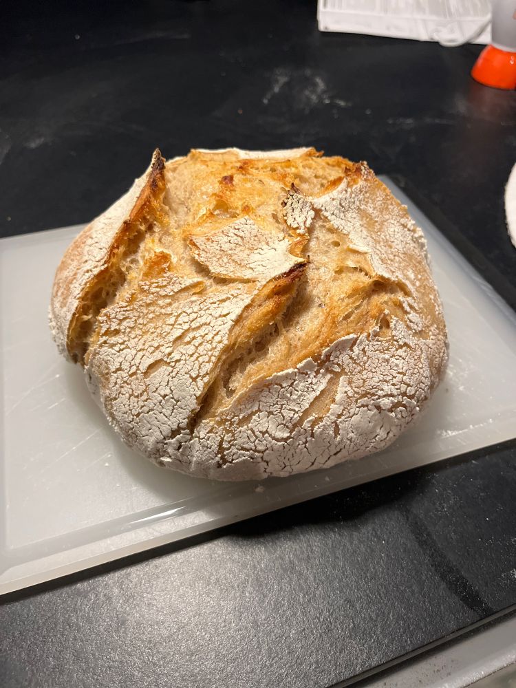 photo of a sourdough boule