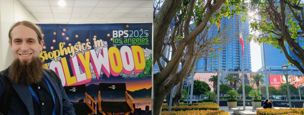 Falk Schneider in sunny LA for Biophysical Society Meeting 2025. 