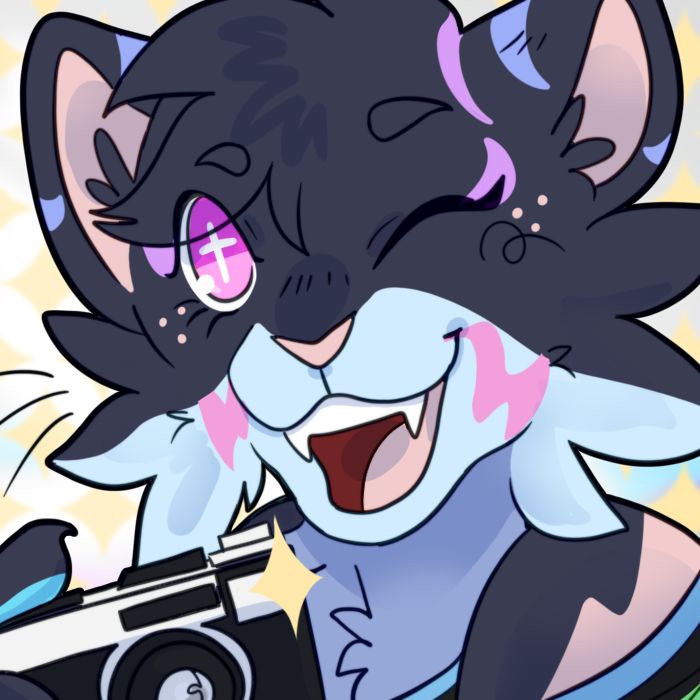 A digitally drawn headshot icon of an anthropomorphic feline with dark and light grey fur accented by multicolor stripes, smiling at the viewer and holding up a camera.
