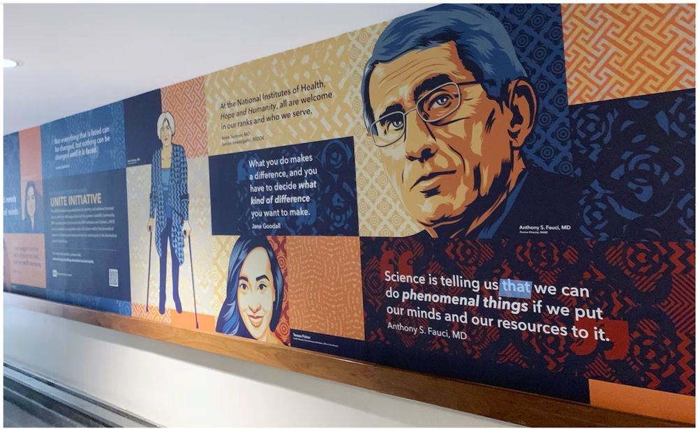 mural of Dr Anthony Fauci in the Claude D. Pepper Building at the National Institutes of Health